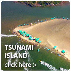 tsunami island
