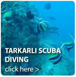 tarkarli scuba diving