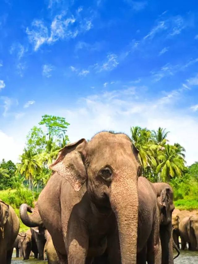 Best 12 Places to visit in Orissa