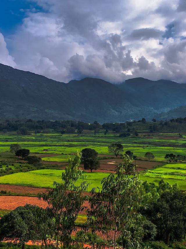 Best 10 Places to visit in Araku