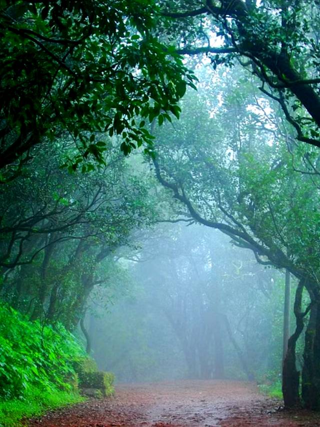 Best 10 One Day Trip Near Matheran