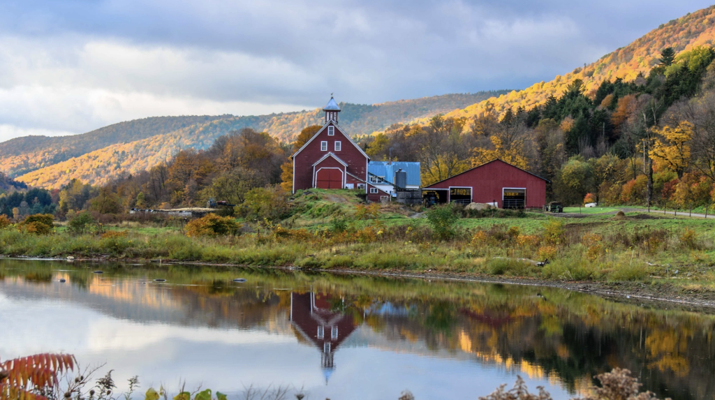 Regenerative Farm‑Stays